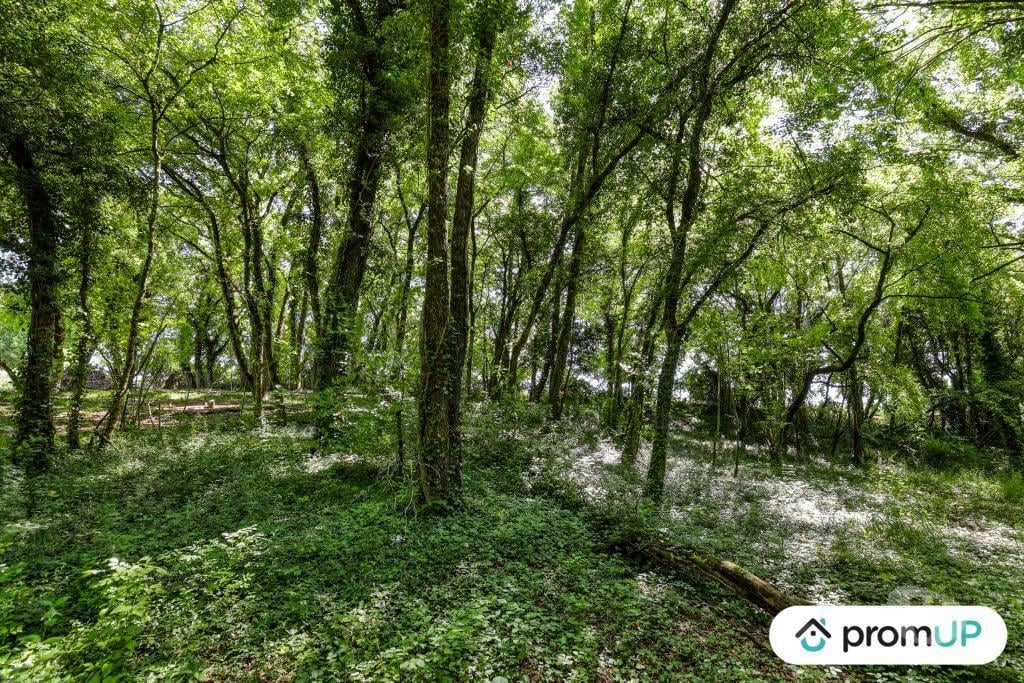 Terrain à vendre Charente Vars - 16330 - Photos Vivastreet (V6759) Terrain de 8860 m2 à VARS