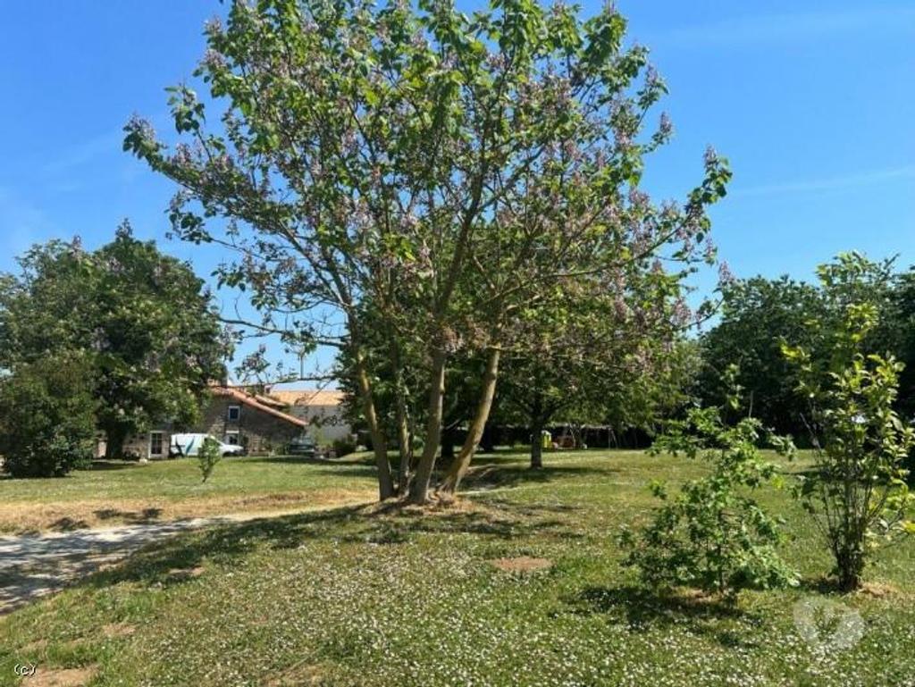 Vente Maison Charente Nanteuil en Vallee - Photos Vivastreet Belle Maison Ancienne Avec Beau Jardin