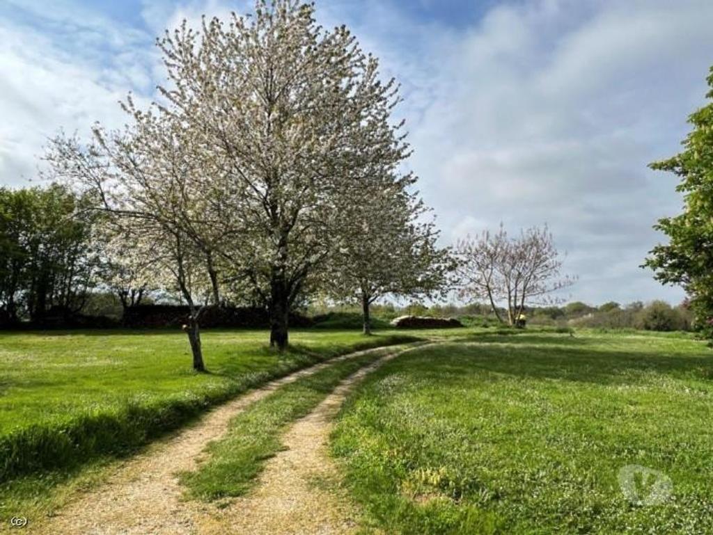 Vente Maison Charente Nanteuil en Vallee - Photos Vivastreet Belle Maison Ancienne Avec Beau Jardin