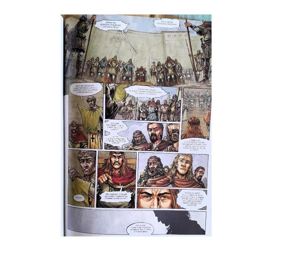 Livres occasion Haute-Garonne Castanet Tolosan - 31320 - Photos Vivastreet Revues historiques + bd
