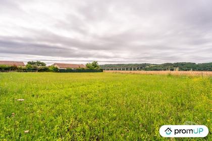 Vente Terrain Moidieu Detourbe Isère - Photos Vivastreet (V6768) Terrain constructible de 1197 m2 à MOIDIEU-DÉTOURBE