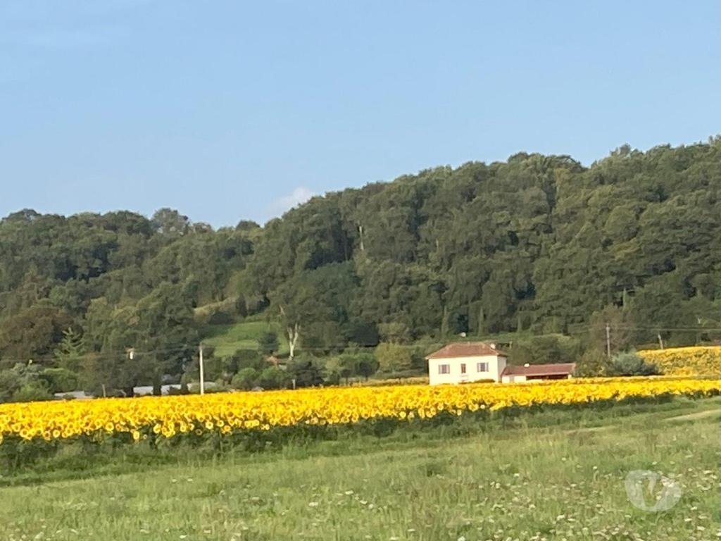 Vente Maison Hautes-Pyrénées Trie sur Baise - 65220 - Photos Vivastreet Jolie maison individuelle en pleine campagne