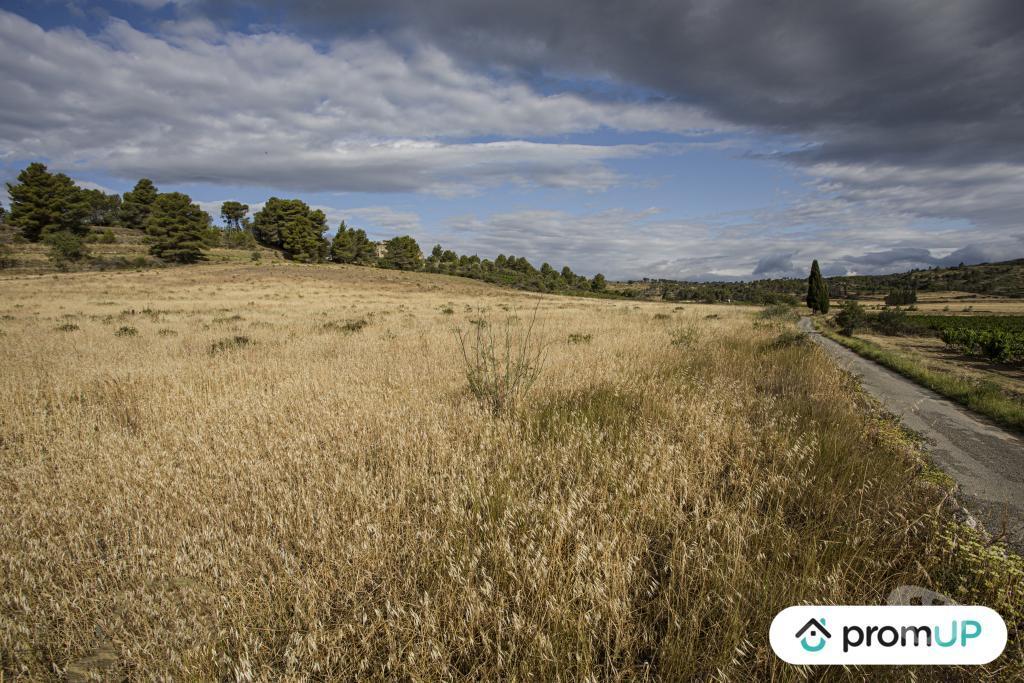 Terrain à vendre Aude Fabrezan - 11200 - Photos Vivastreet (V6790) Terrain agricole de 28 200 m2 à FABREZAN