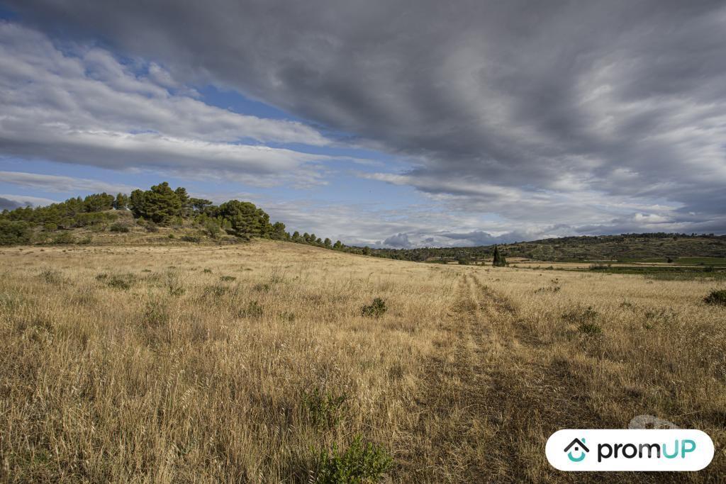 Terrain à vendre Aude Fabrezan - 11200 - Photos Vivastreet (V6790) Terrain agricole de 28 200 m2 à FABREZAN