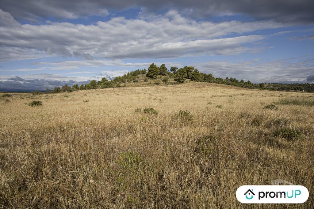 Terrain à vendre Aude Fabrezan - 11200 - Photos Vivastreet (V6790) Terrain agricole de 28 200 m2 à FABREZAN