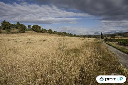 Vente Terrain Fabrezan Aude - Photos Vivastreet (V6790) Terrain agricole de 28 200 m2 à FABREZAN