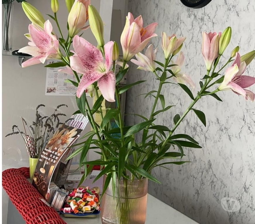 Massages Vaucluse Avignon - 84000 - Photos Vivastreet Massage Asiatique Avignon