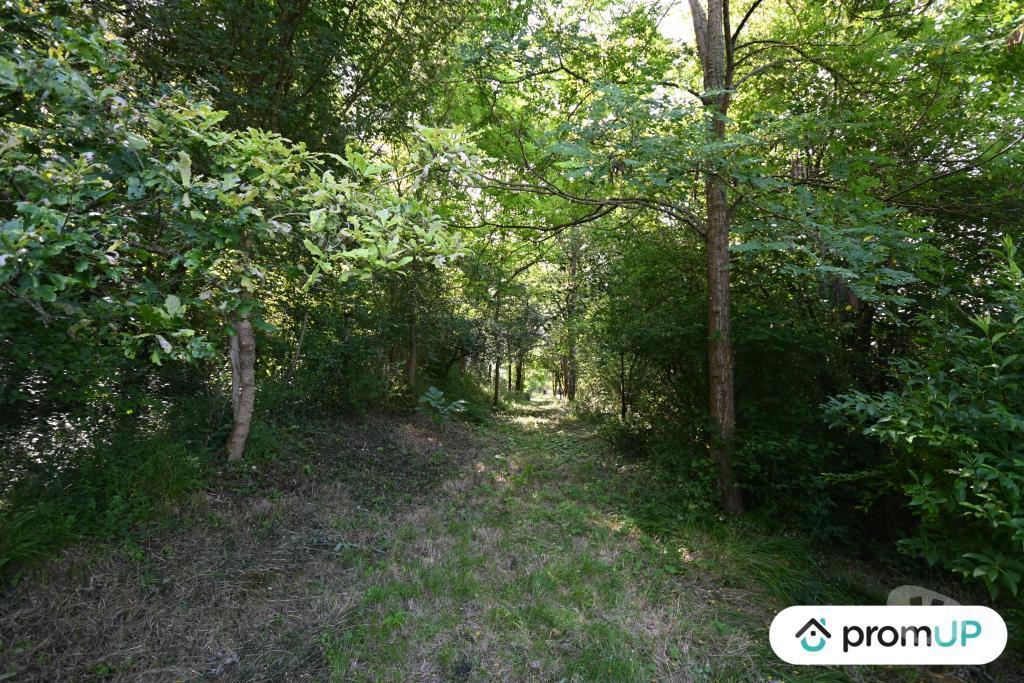 Terrain à vendre Yonne Charny - 89120 - Photos Vivastreet (V6753) Terrain non constructible de 2100 m2 à...