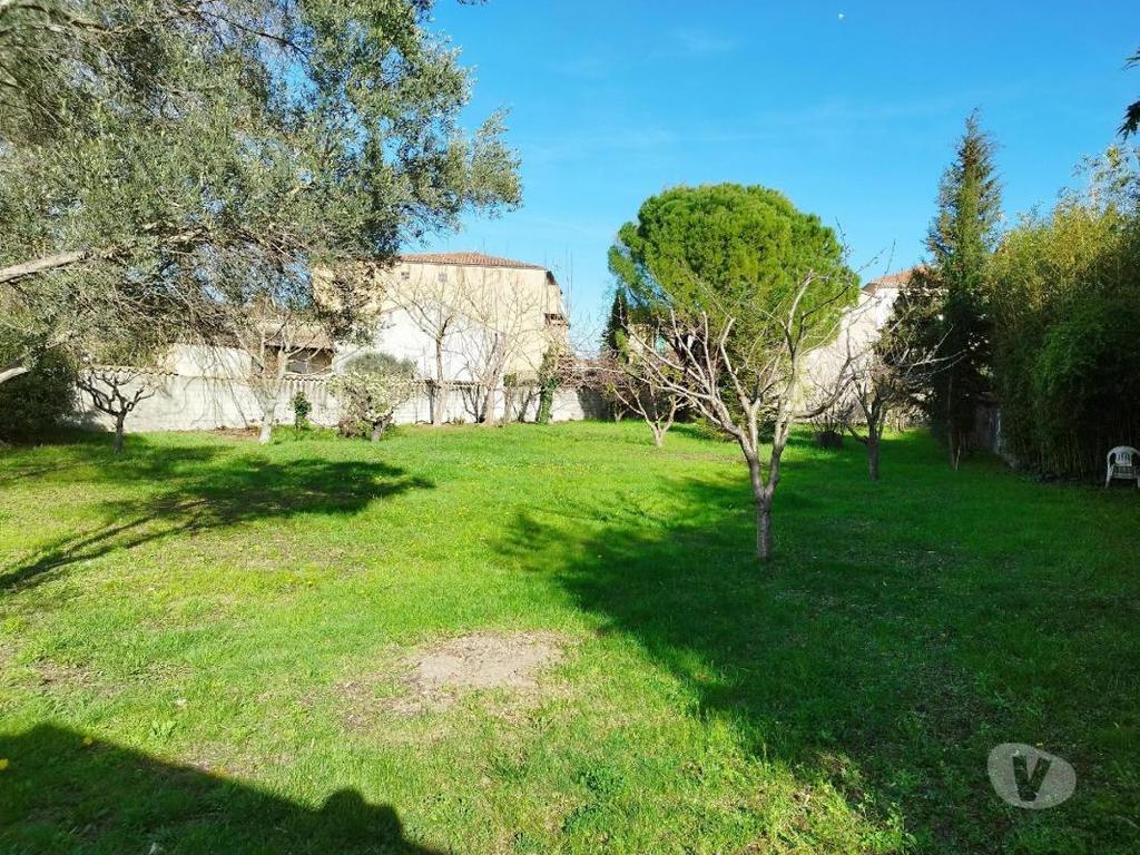Terrain à vendre Vaucluse Piolenc - 84420 - Photos Vivastreet (1011_2765_vs) Vente Terrain Piolenc