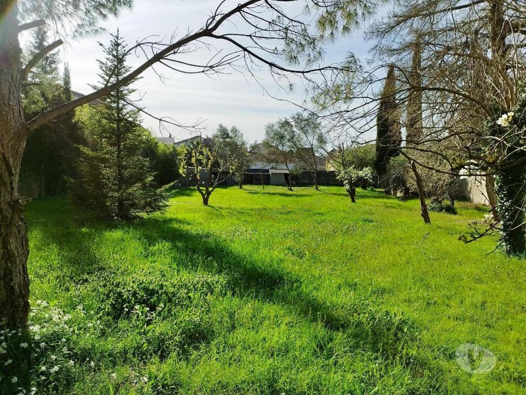 Terrain à vendre Vaucluse Piolenc - 84420 - Photos Vivastreet (1011_2765_vs) Vente Terrain Piolenc