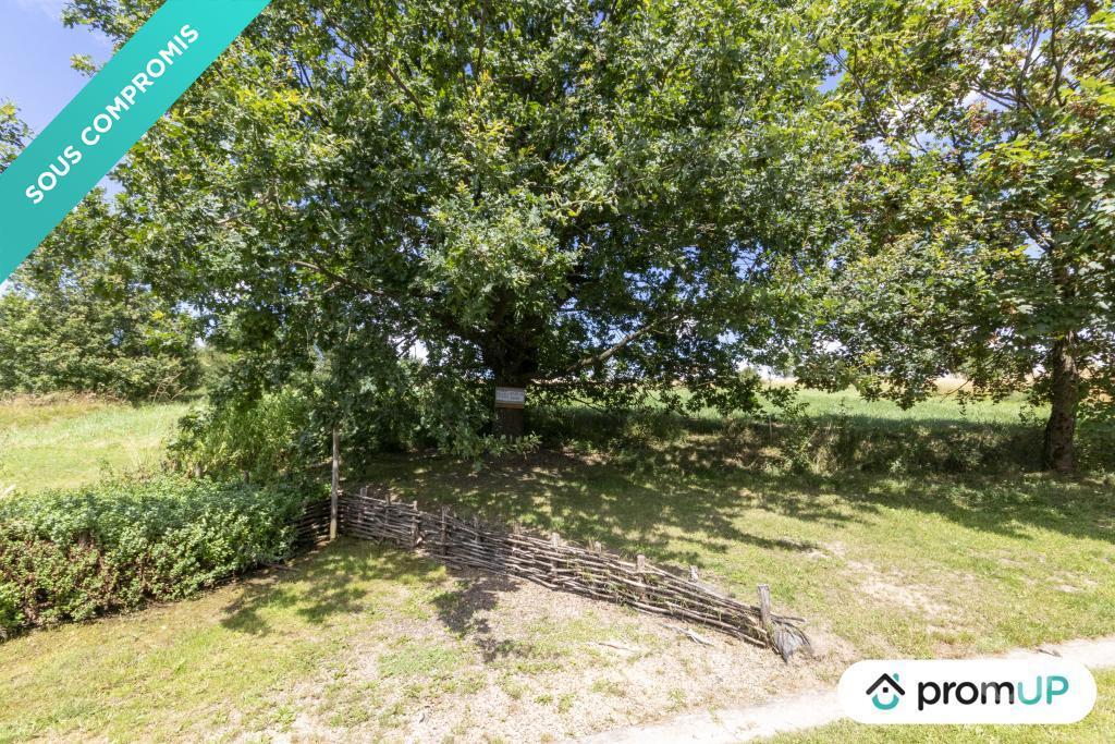 Terrain à vendre Moselle Guenviller - 57470 - Photos Vivastreet (V6787) Terrain constructible de 1110 m2 à Guenviller