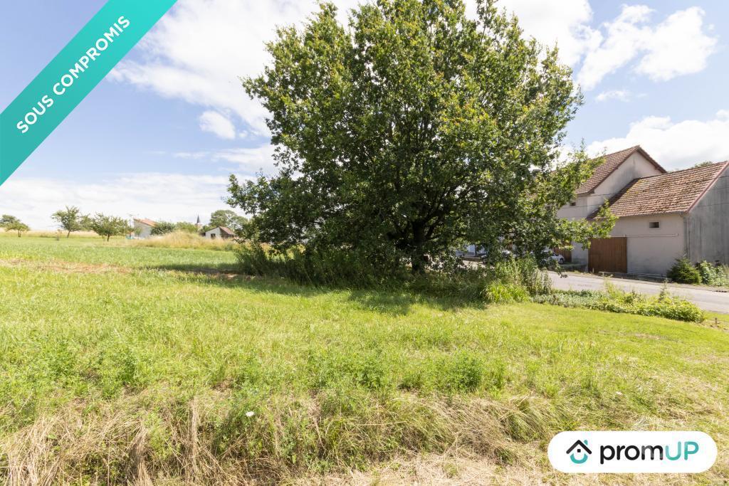 Terrain à vendre Moselle Guenviller - 57470 - Photos Vivastreet (V6787) Terrain constructible de 1110 m2 à Guenviller