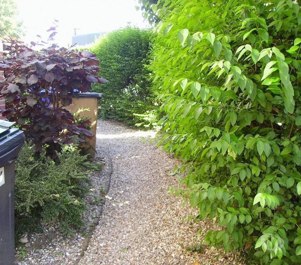 Appartement meublé Seine-Maritime Rouen - Photos Vivastreet Studio meublé rez de jardin souplex 18 m2