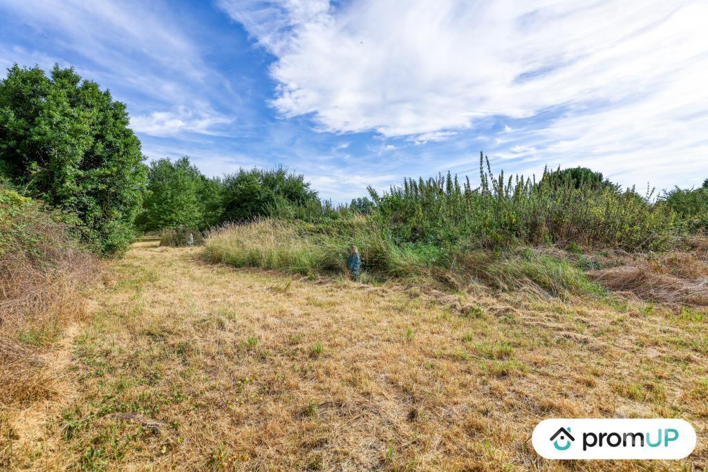 Terrain à vendre Loir-et-Cher Onzain - 41150 - Photos Vivastreet (V6834) Terrain constructible de 2860 m2 à VEUZAIN SUR LOIRE