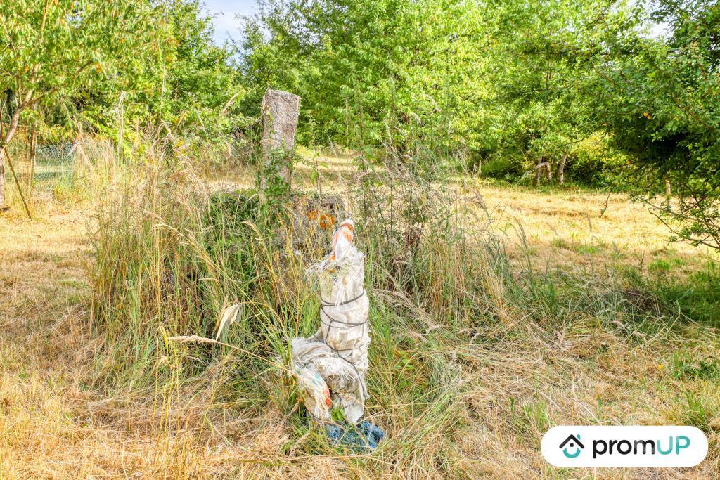 Terrain à vendre Loir-et-Cher Onzain - 41150 - Photos Vivastreet (V6834) Terrain constructible de 2860 m2 à VEUZAIN SUR LOIRE