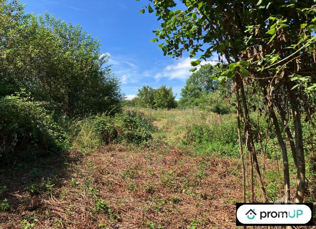 Terrain à vendre Creuse La Souterraine - 23300 - Photos Vivastreet (V6791) Terrain constructible de 9774 m2 à LA SOUTERRAINE