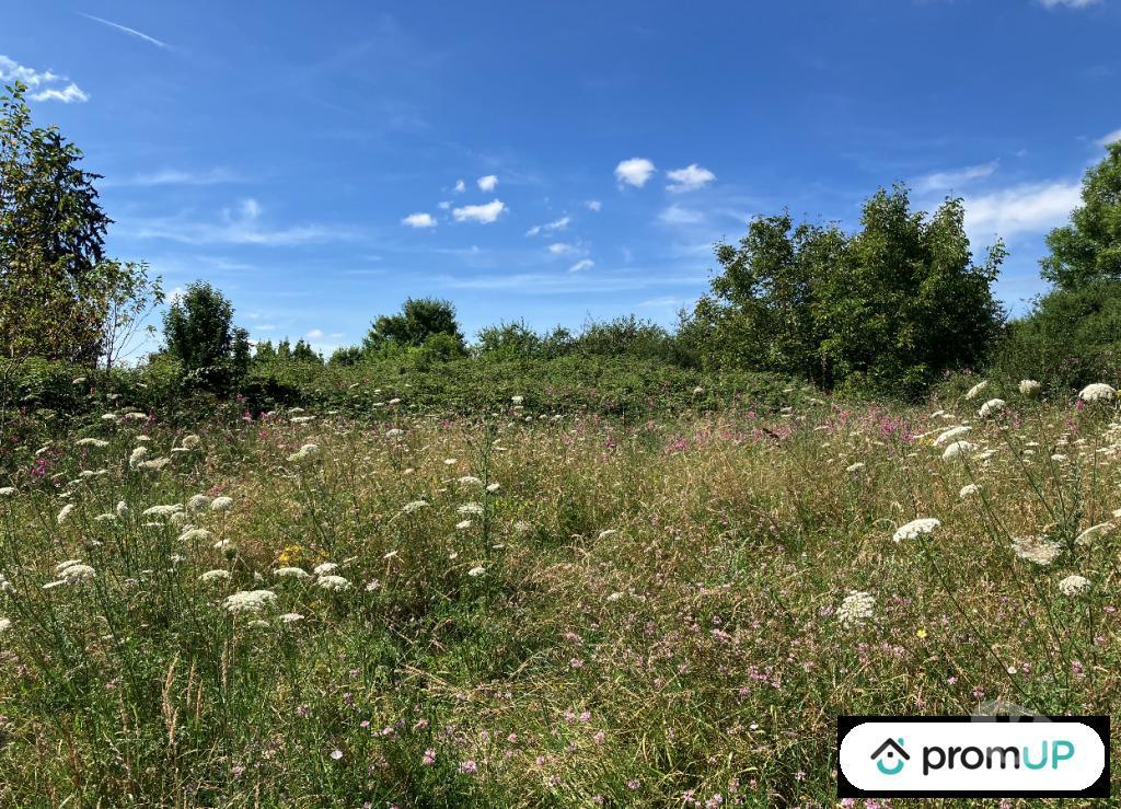 Terrain à vendre Creuse La Souterraine - 23300 - Photos Vivastreet (V6791) Terrain constructible de 9774 m2 à LA SOUTERRAINE