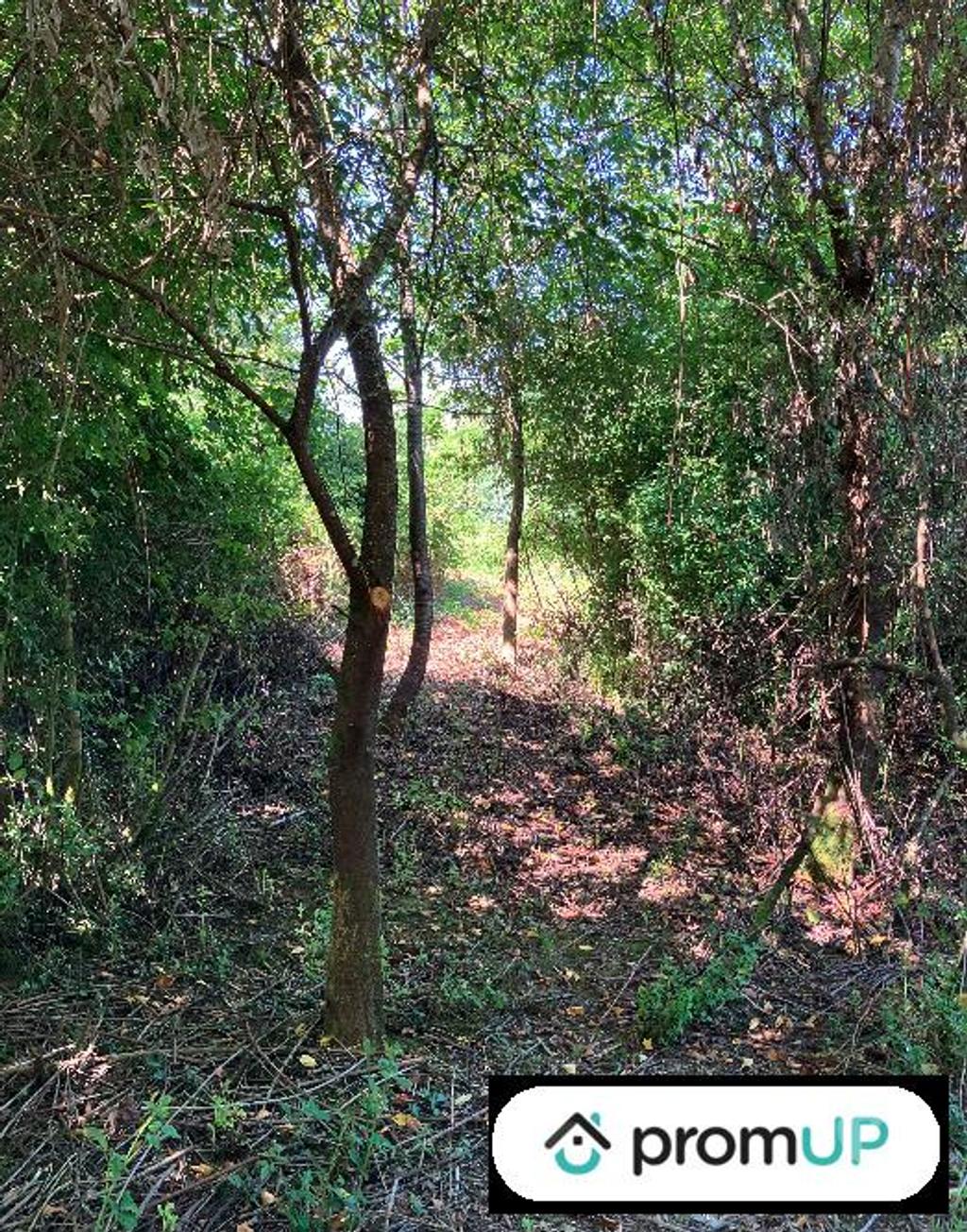 Terrain à vendre Creuse La Souterraine - 23300 - Photos Vivastreet (V6791) Terrain constructible de 9774 m2 à LA SOUTERRAINE