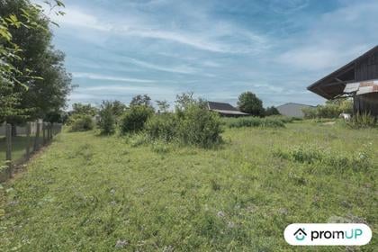 Vente Terrain Mergey Aube - Photos Vivastreet (V6828) Terrain constructible de 920 m2 à MERGEY