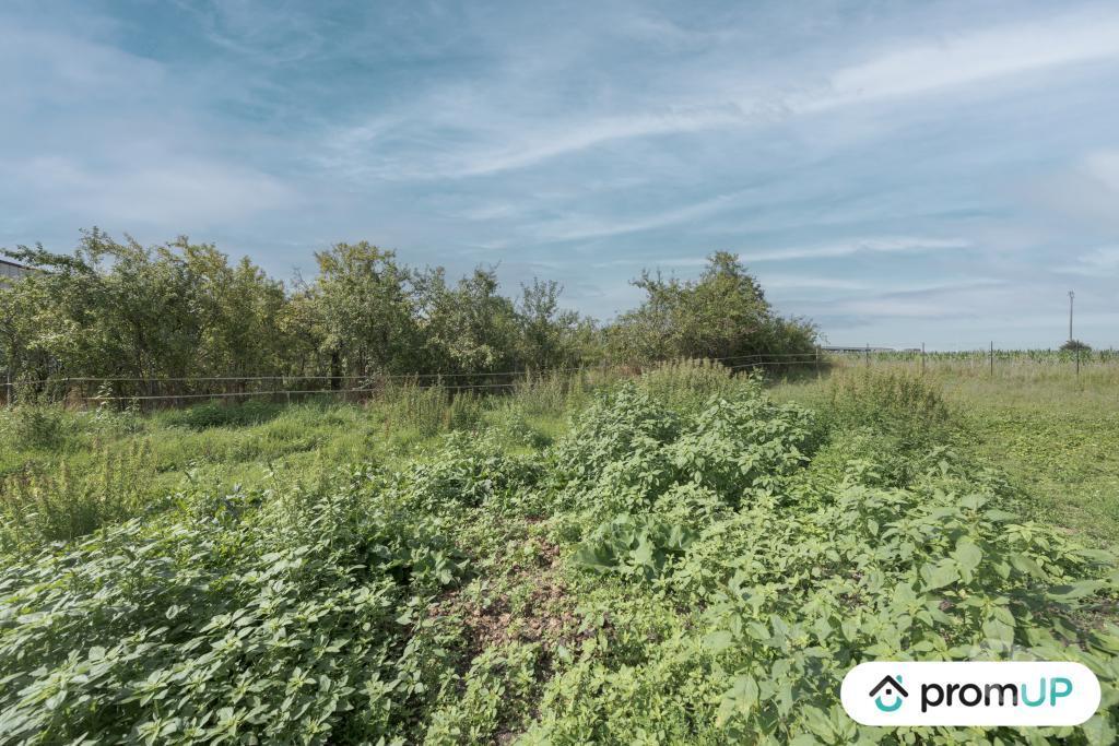 Terrain à vendre Aube Mergey - 10600 - Photos Vivastreet (V6829) Terrain constructible de 2649 m2 à MERGEY