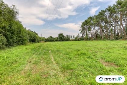 Vente Terrain St Mars la Briere Sarthe - Photos Vivastreet (VT952) Terrain de loisir de 874m² situé à Saint-Mars-la-Brière