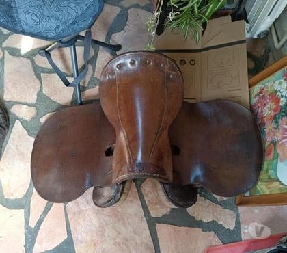 Collection Montceaux les Provins Seine-et-Marne - Photos Vivastreet selle de cheval