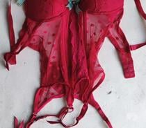 Top Bustier Guêpière Porte Jarretelles Neuf Taille 90D