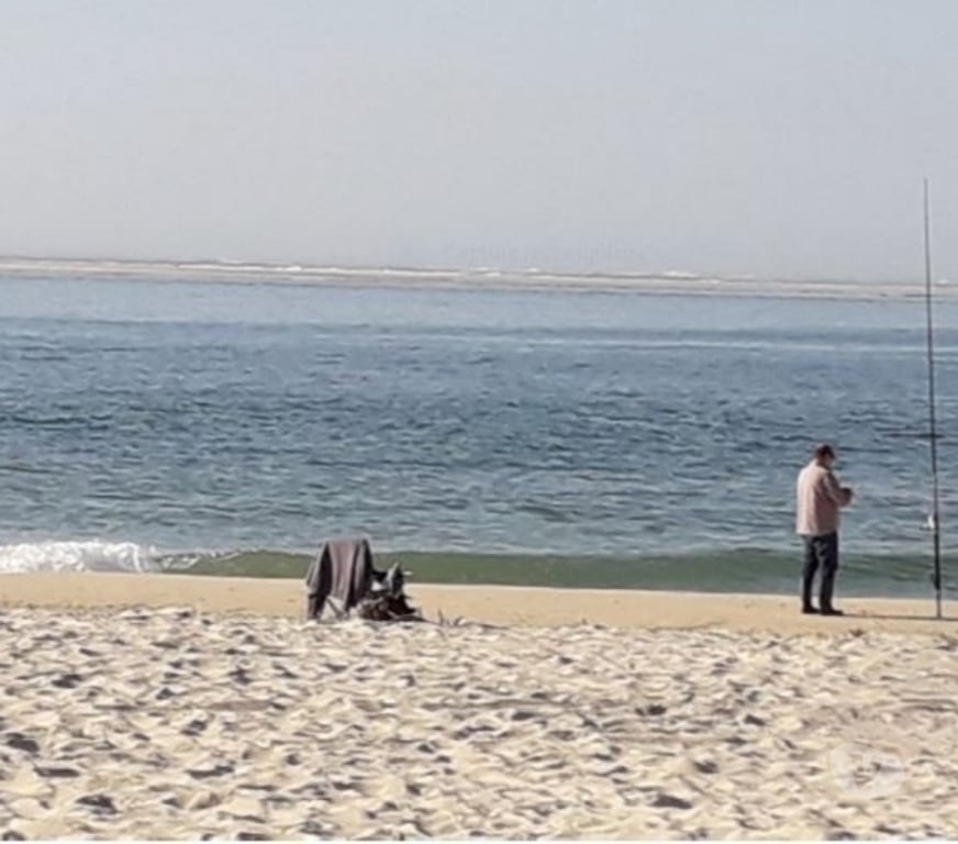 Vente Maison Landes Biscarrosse - 40600 - Photos Vivastreet VILLA COMPRENANT DEUX T 3 DANS QUARTIER CALME