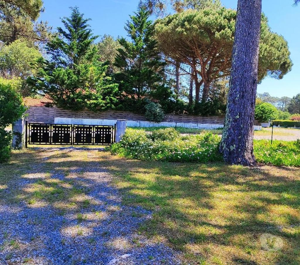 Vente Maison Landes Biscarrosse - 40600 - Photos Vivastreet ENSEMBLE CONSTITUE DE 2 VILLAS T 3 DANS QUARTIER CALME