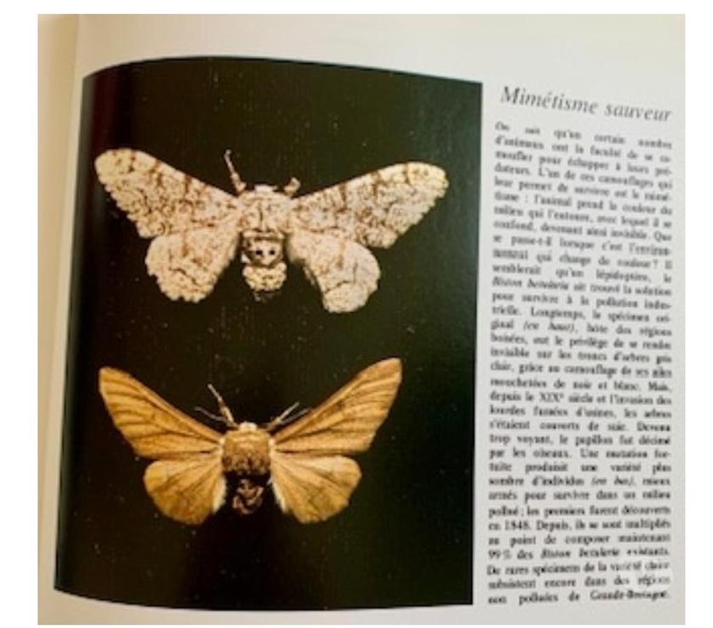 Livres occasion Val-de-Marne Villejuif - 94800 - Photos Vivastreet La terre cette inconnue -Première édition de 1975.
