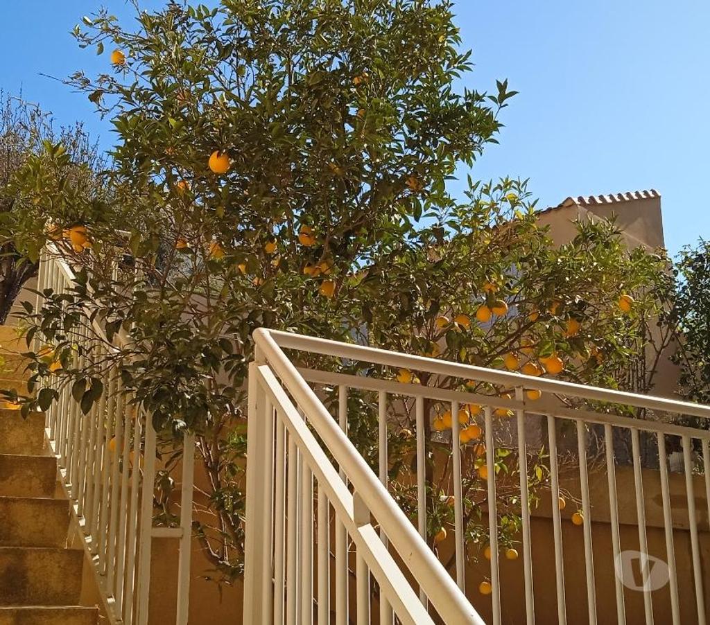 Vente Immeuble Algérie - Photos Vivastreet A VENDRE UNE VILLA