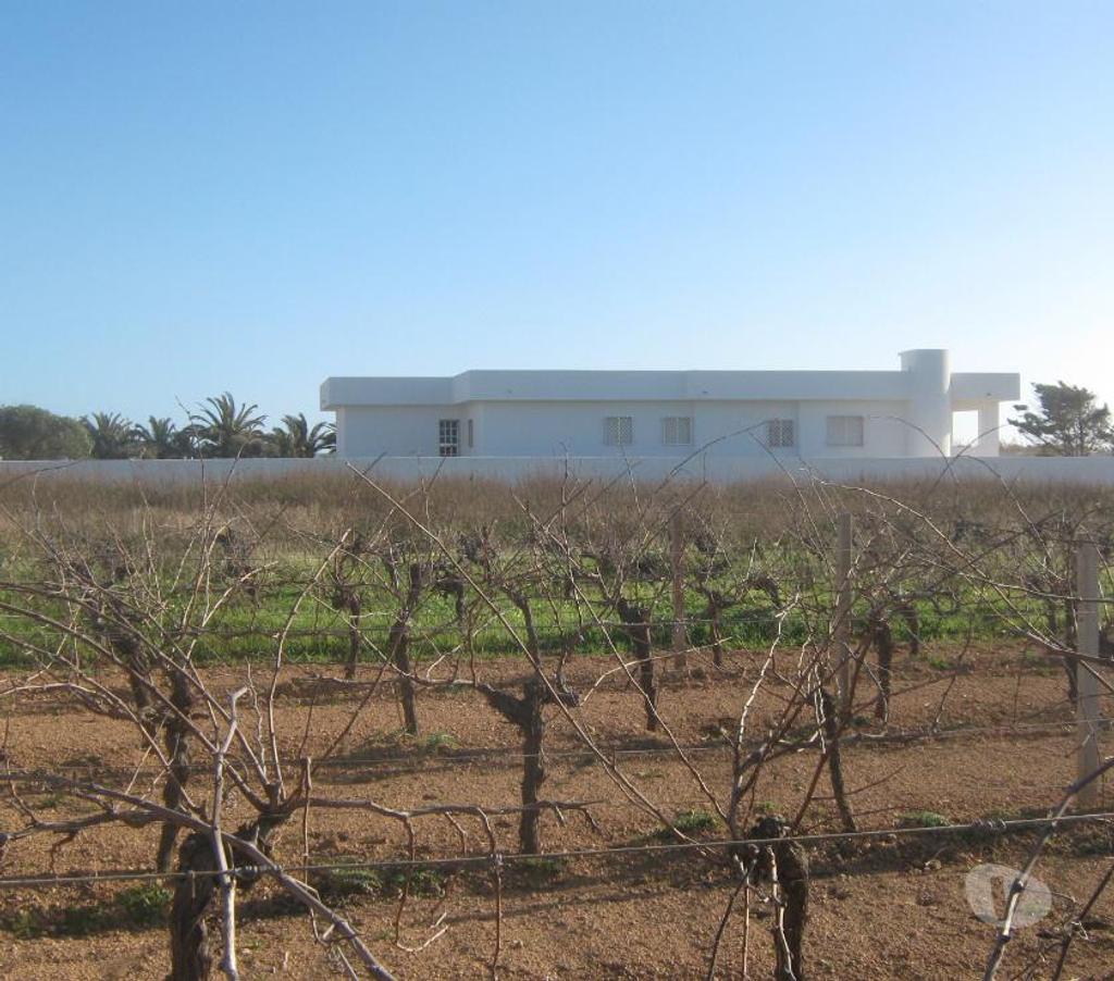 Vente Maison Alpes-Maritimes Roquefort les Pins - 06330 - Photos Vivastreet Grande maison bord de mer Sicile