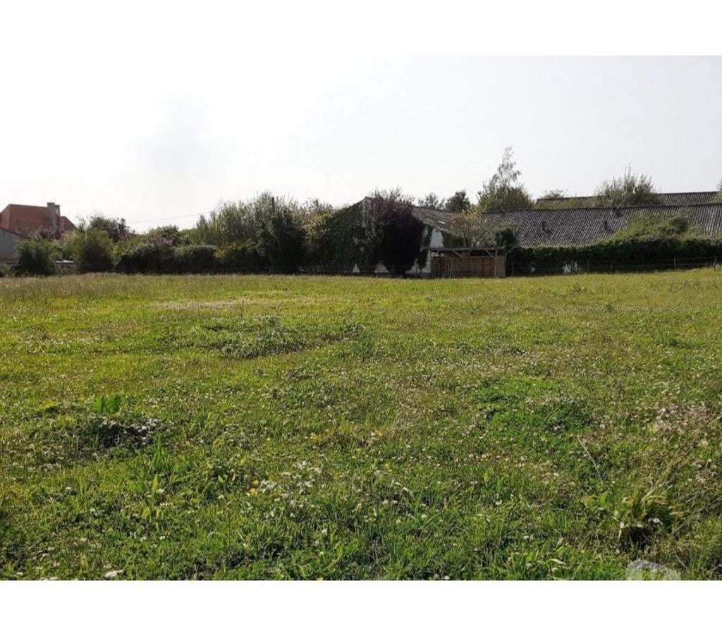 Services, accessoires animaux Nord Lille - Photos Vivastreet Prairie à louer