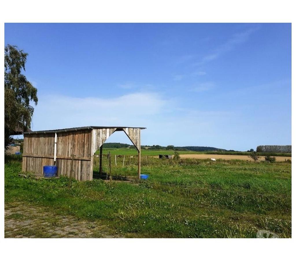 Services, accessoires animaux Nord Lille - Photos Vivastreet Prairie à louer