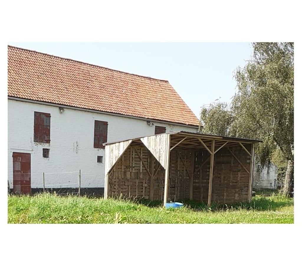 Services, accessoires animaux Nord Lille - Photos Vivastreet Prairie à louer