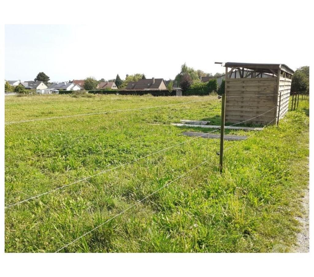 Services, accessoires animaux Nord Lille - Photos Vivastreet Prairie à louer