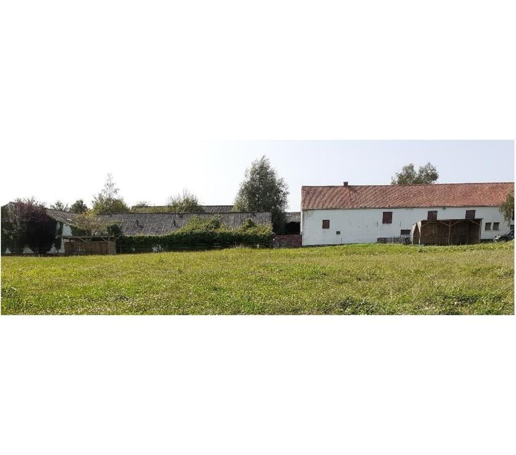 Services, accessoires animaux Nord Lille - Photos Vivastreet Prairie à louer