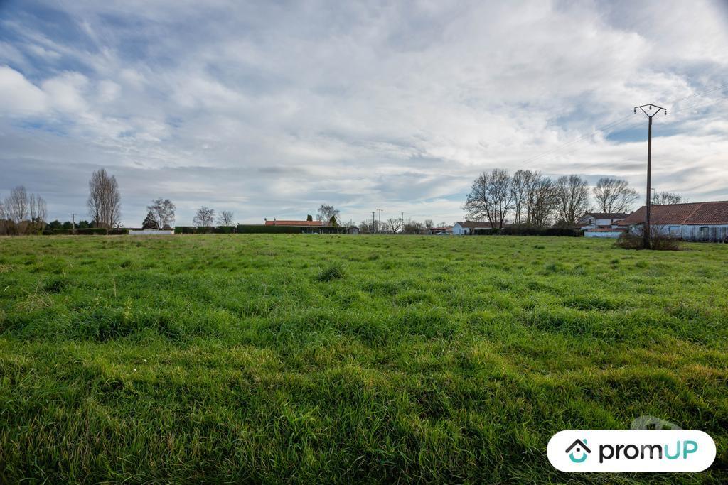 Terrain à vendre Charente-Maritime Varzay - 17460 - Photos Vivastreet (VT226) Lot de 3 terrains constructibles de 8 912 m²