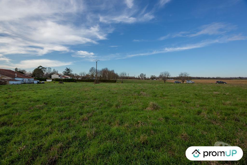 Terrain à vendre Charente-Maritime Varzay - 17460 - Photos Vivastreet (VT226) Lot de 3 terrains constructibles de 8 912 m²