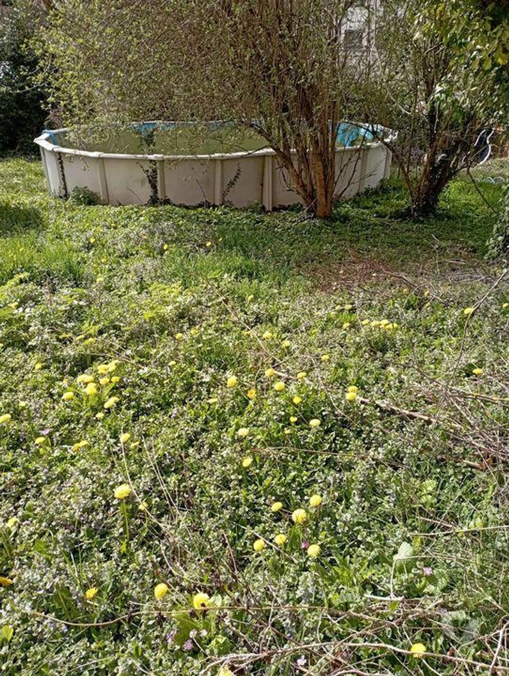 Vente Maison Allier Vichy - 03200 - Photos Vivastreet Belle opportunité à saisir rapidement !!