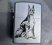 zippo dobermann
