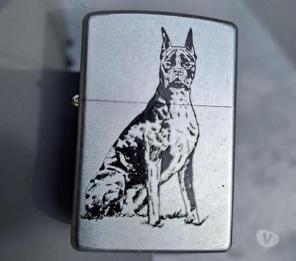 Collection Montceaux les Provins Seine-et-Marne - Photos Vivastreet zippo dobermann