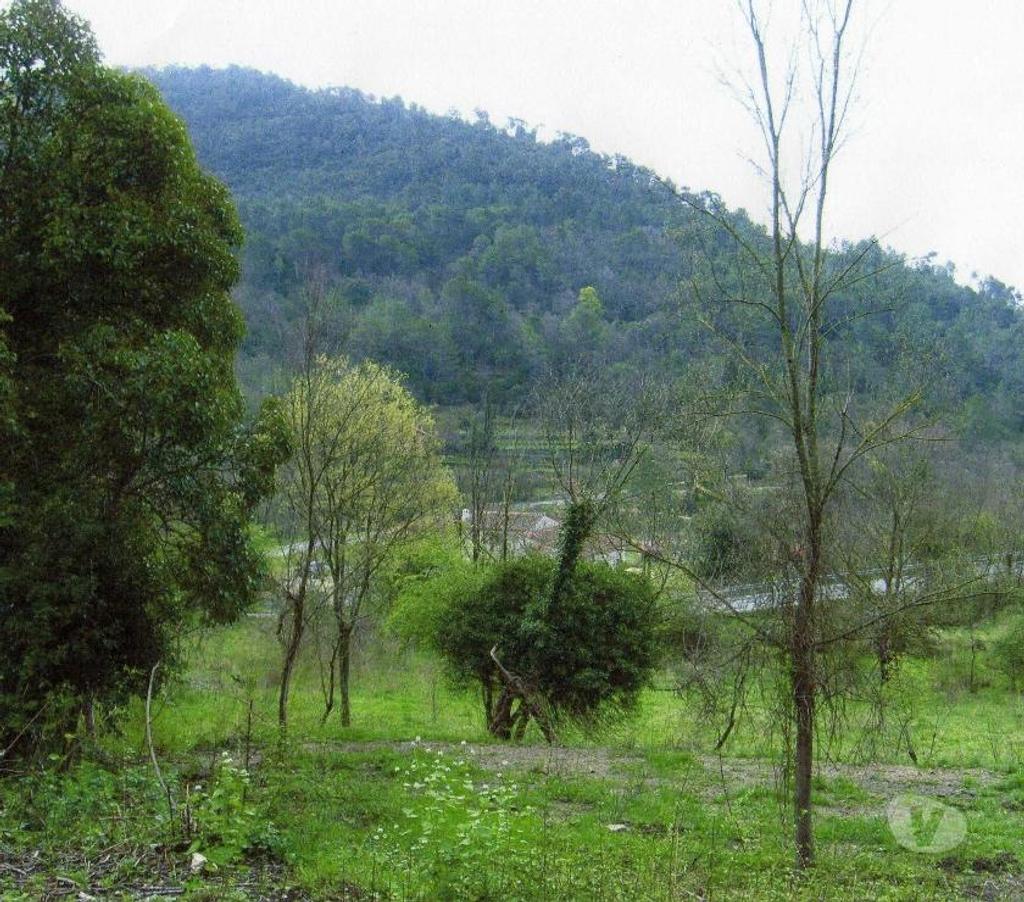 Terrain à vendre Var Bargemon - 83830 - Photos Vivastreet Terrain constructible de 9125m2 dans le var à BARGEMON