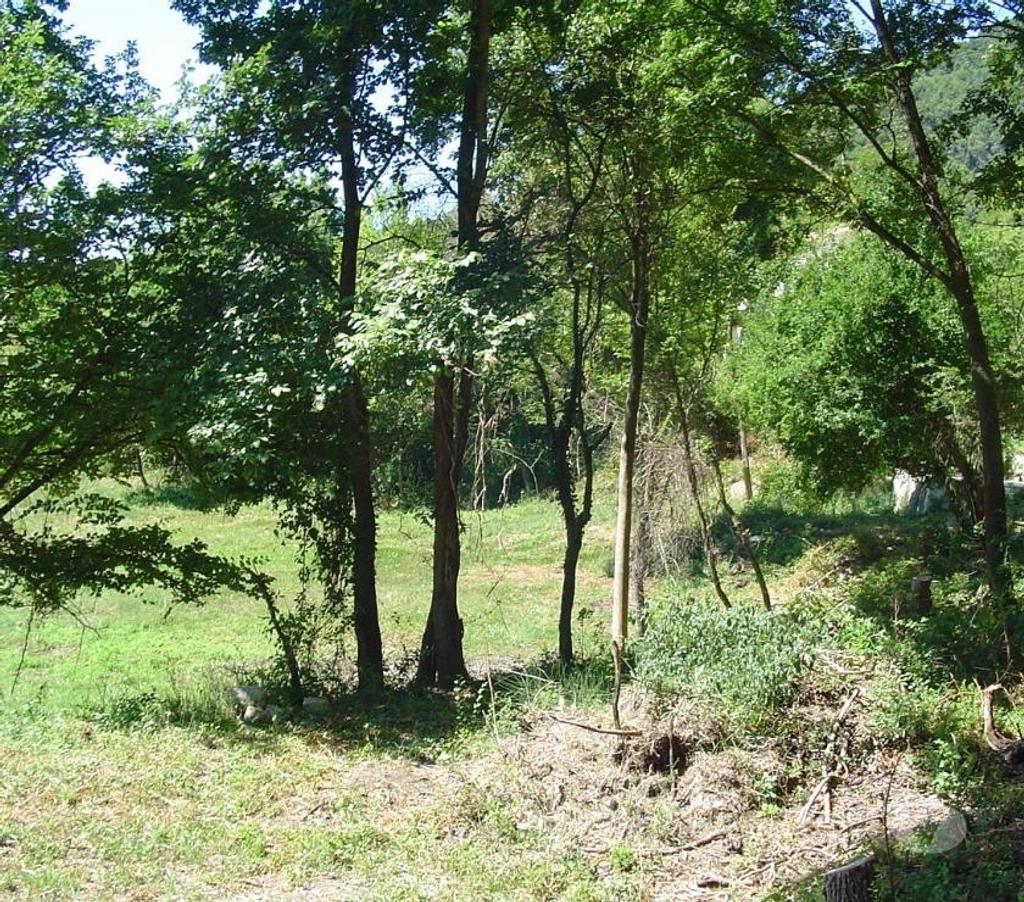 Terrain à vendre Var Bargemon - 83830 - Photos Vivastreet Terrain constructible de 9125m2 dans le var à BARGEMON