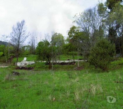 Vente Terrain Bargemon Var - Photos Vivastreet Terrain constructible de 9125m2 dans le var à BARGEMON