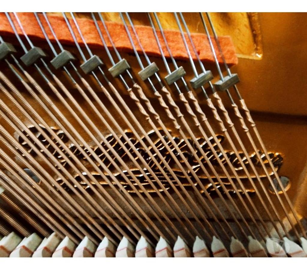 Instruments de musique Hérault Montpellier - Photos Vivastreet Piano droit Pleyel-Wolff-Lyon de 1911