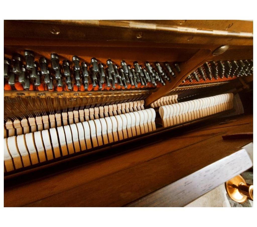 Instruments de musique Hérault Montpellier - Photos Vivastreet Piano droit Pleyel-Wolff-Lyon de 1911