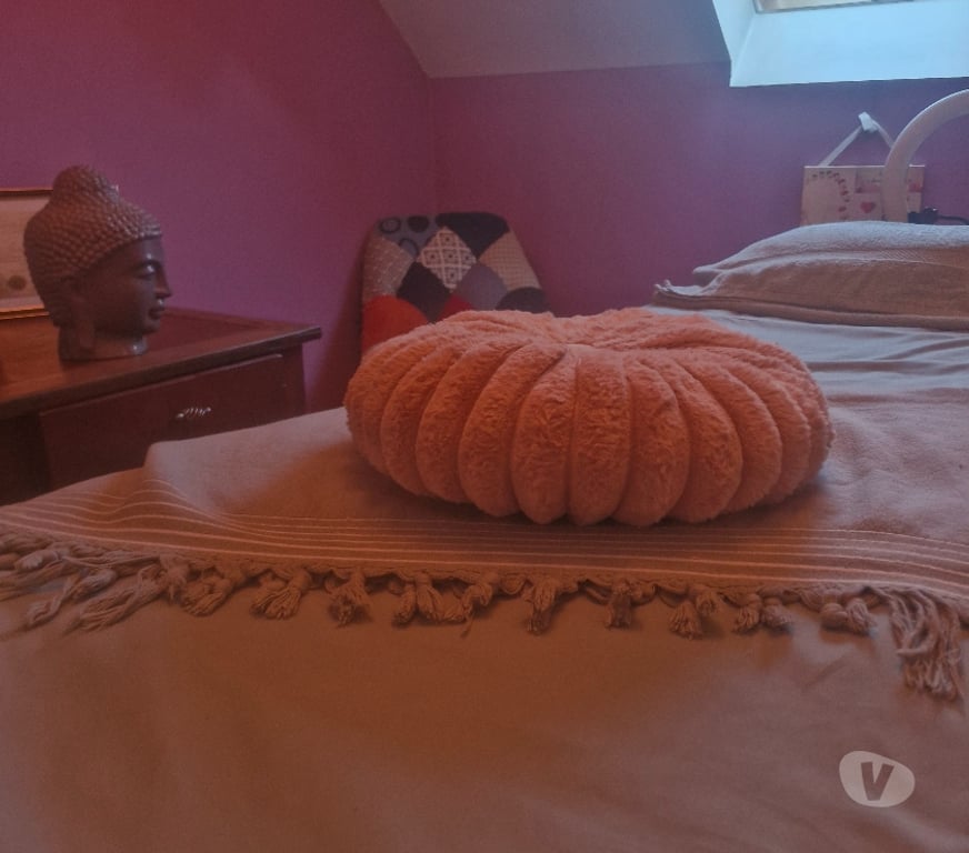 Massages Côtes-d'Armor Tregueux - 22950 - Photos Vivastreet Massage tantrique relaxation