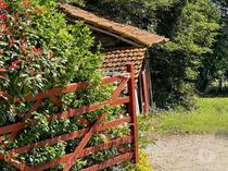 Ancienne ferme rénovée avec piscine et vue Pyrénées