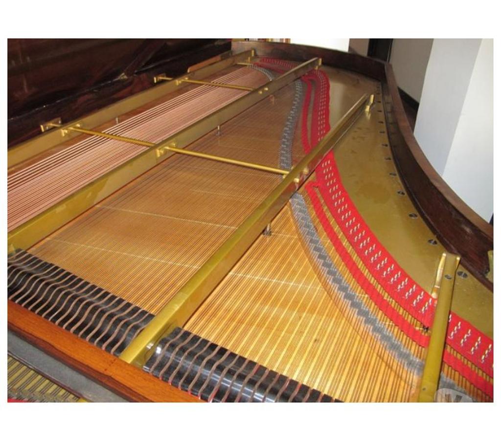 Instruments de musique Hérault Montpellier - Photos Vivastreet Piano trois-quart de queue Pleyel acajou 217cm de 1886